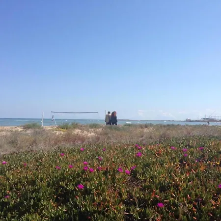 Fantastic In With Roof Terrace And Garden Dénia